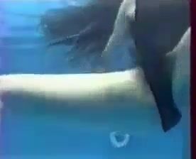 If you were a dolphin